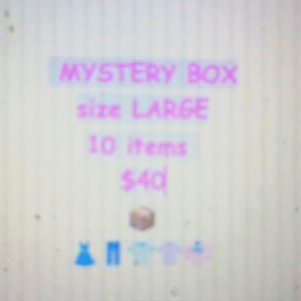 LADIES MYSTERY BOX 10 ITEMS SIZE LARGE EUC AND NWT